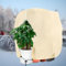 ZOZIJIU Pflanzenschutz Winter - Winterschutz füR Pflanzen 80x100cm-2P Frostschutz Pflanzen Haube mit ReißVerschluss &Zugband füR KüBelpflanzen Palmen Beige 80g/M²