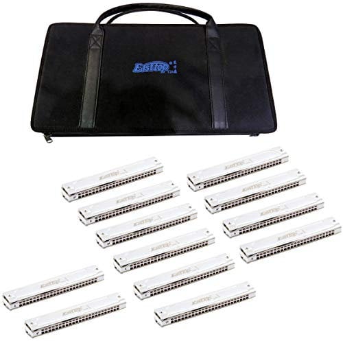 East Top Mundharmonika 12er Set, 24-Loch Professionelle Tremolo Mundharmonikas T2406S Mundharmonika Für Erwachsene, professionelle Bandspieler und Studenten, als Geschenk