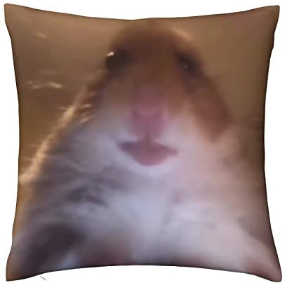 Nolachord Kissenbezug, Motiv: Hamster, der vor der Kamera starrt, quadratisch, dekorativ für Bett, Couch, Sofa, Wohnzimmer, lustiges Geschenk, 45,7 x 45,7 cm
