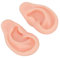 Modèle D'oreille Humaine, 1 Paire de Modèles D'oreille de Simulation en Silicone Souple, Fausse Oreille Flexible, Parties du Corps Réalistes pour la Pratique du Piercing, Affichage de Bijoux(1#)