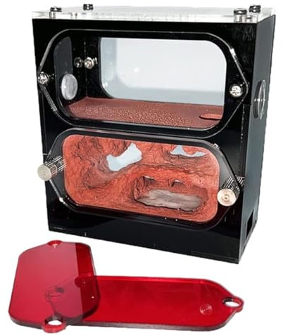 AMULONG Ameisenfarm Nistkasten, Beton Ameisenfarm Hydratisierender Wasserturm Ameisennest Farm Acryl Ameisenburg Ameisenhaus