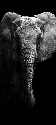 Bilderdepot24 Türtapete Schwarz weiss Elefant 90 x 200 cm - einteilig Türaufkleber Türfolie Türposter - Tier Afrika Tierbild Elefantenbild