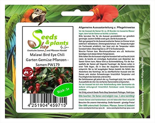 Stk - 5x Malawi Bird Eye Chili Garten Gemüse Pflanzen - Samen PW179 - Seeds & Plants Shop by Ipsa