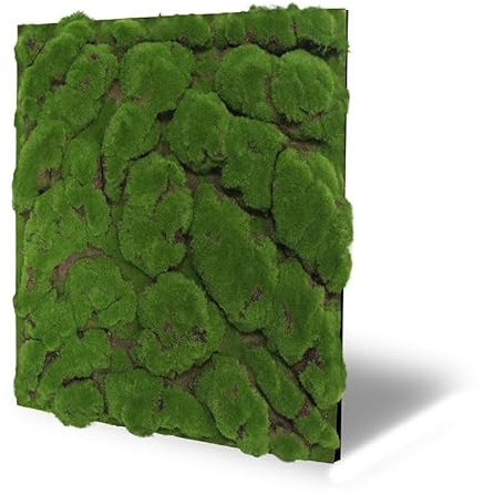 Pflanzenpaneele Pflanzen Wandpaneele Deckenpaneele Dekoren Nature Flora Design 52x52cm - 0,27m² (11109)