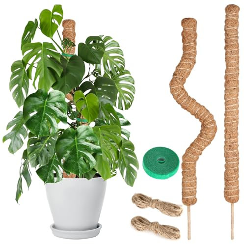 Moss Pole for Monstera, 60CM, 2 Pcs Sticks, Plant Supports for Indoor Plants, for Climbing Vines, Pothos, Potted, Comes with Velcro Tape and Hemp Rope