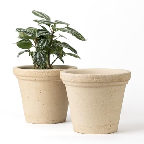 Nipots 2 Pack Terracotta Clay Plant Pots with Drainage, Breathable Water-Absorbing Planters for Healthy Roots, 6 Inch Deep Flower Pots for Gardening, Indoor and Outdoor, Beige