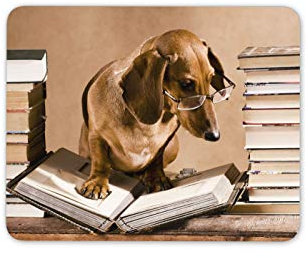 Destination Vinyl Ltd Dachshund Book Worm Mouse Mat Pad - Sausage Dog Puppy Funny Computer #15224