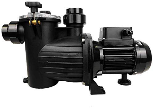 well2wellness® Selbstansaugende Filterpumpe Umwälzpumpe MIDA.Alpha 13 mit 15 m³/h