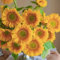 semi di girasole perenni resistenti, girasole - fiori per balconi, piante perenni resistenti semi di girasole semi prato fiorito, semi semi di fiori, piante da balcone resistenti fiori 30pcs