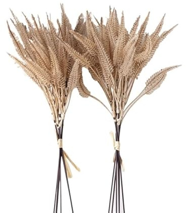 ApuaVireo&Co Grand Bouquet d'herbe de Pampa séchée Naturelle, Queue de Lapin, décoration d'intérieur, Fleurs de phragmites, décoration de Mariage, Ramadan