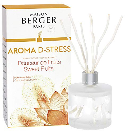 Maison Berger Raumduft Diffuser