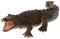 VICASKY 1stk Simuliertes Krokodilmodell Realistisches Alligatormodell Krokodil-Statue Krokodilspielzeug Krokodil-verzierung Statisches Krokodilmodell Krokodil-Modell Grey Plastik