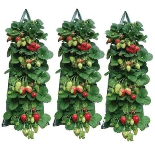 EHOTER Hängender Erdbeer-Pflanzgefäß, umgedreht, Terrasse, Garten, Tomaten, Pflanzbeutel, tragbar, zum Aufhängen, Pflanztasche für Chili, Kräuter, Peperoni, Gemüse, 3 Stück