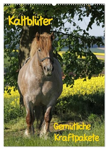Kaltblüter (Wandkalender 2026 DIN A2 hoch), CALVENDO Monatskalender: Gemütliche Kraftpakete (CALVENDO Tiere)