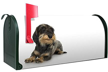 banjado® Amerikanischer Briefkasten - US Mailbox/Letterbox mit Motiv Dackel 51x22x17cm - Postkasten Stahl aus Amerika – Briefkasten amerikanisch pulverbeschichtet