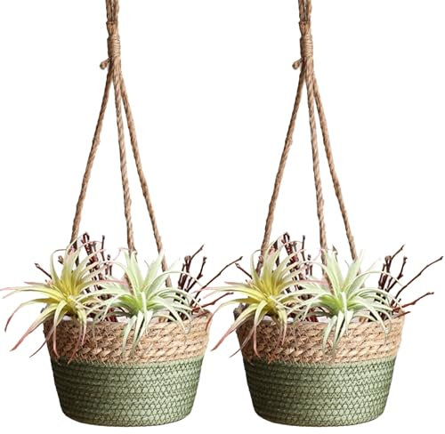 BEIJIALY 2 Pack Seagrass Hanging Planter Basket, Rattan Woven Plant Hanger, Rattan Hanging Planter Macrame Plant Hanger, Flower Pot Holder for Garden, Outdoor, Indoor,(Green)