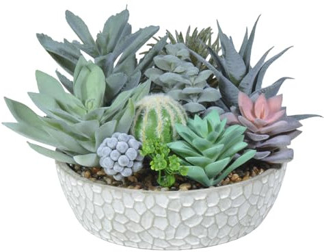 Hisow Premium Assorted Artificial Succulent Collection - Large Real Touch Artificial Cactus, Aloe Vera & Succulent Plants Artificial with Pots for Home Office Indoor (Artificial Glass - Pot)