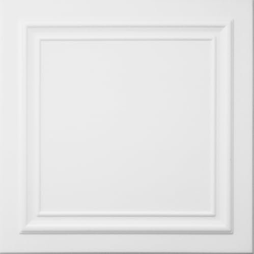 Deccart - 3D Wandpaneele 50x50 cm - Paneele Wand Wall Panels Deko Wandverkleidung Innen Panel Deckenverkleidung Decke Deckenpaneele Platten Styropor EPS-Polystyrol 0824 Weiß 1 Stück - 0.25 m²
