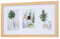 levandeo Bilderrahmen Collage 3 Fotos 10x15cm Eiche Optik Natur MDF Holz Passepartout Glasscheibe Fotorahmen Fotogalerie