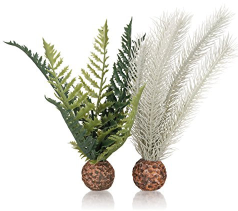biOrb fern grey/green S
