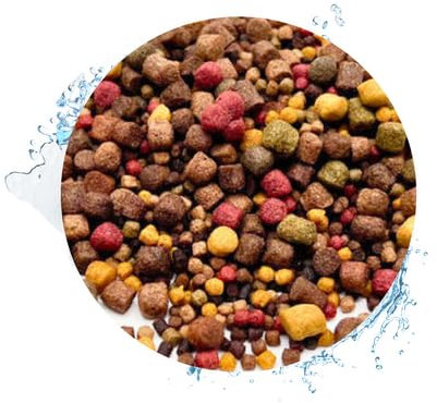 Warnick's Koifutter 5-Sorten-Mix mit Spirulina - 10 kg, 3-6 mm - Fischfutter für Koi & Zierfrische - schwimmfähig & gut verdaulich