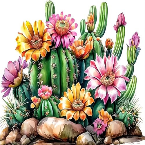 AIRDEA Kakteen Sukkulenten Diamond Painting Erwachsene, DIY 5D Blumen Diamant Painting Bilder, Bastelset Erwachsene Frauen als Haus Wanddeko 30x30 cm