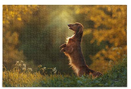 Mnsruu Dog Breed Dachshund Summer Tree Jigsaw Puzzle Leisure Creative Games 1000 Pieces for Adults Children Gift