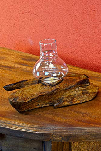 Wurzelholz Windlicht - Teak Windlicht - 20cm Windlicht in verschiedenen Größen für Terrasse Garten oder Wohnzimmer (Natur - Klein)