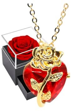 Rose éternelle avec collier ,coffret cadeau romantique, idée Cadeau Femme ,annversaire,Mariage,Rose Stabilisée Rouge,Naturelle bijou,Fête des mères,Penditif Coeur argent 925 Cristal,Collier en Argent