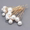 18 Stück Perlen-Haarnadeln, Brautperlen-Haarnadeln, Perlen-Bobby-Klammern, U-förmiges Perlen-Haarnadel-Set für Hochzeit, Braut, Brautjungfer, Mädchen, Frauen (Gold)…