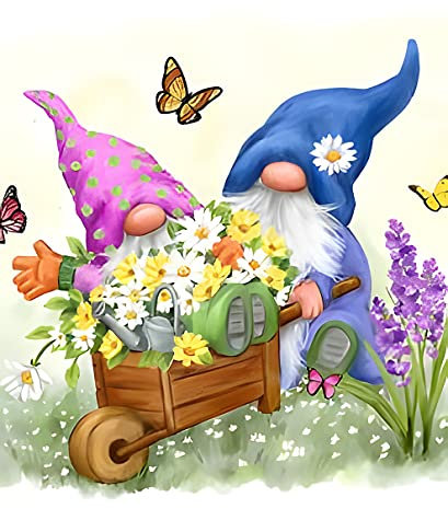 NAIMOER Gnomes Diamond Painting Kits für Erwachsene, Full Drill Blumen und Carts Diamant Painting Kits, DIY 5D Diamant Painting Blumen und Schnecke Bilder Diamant Malerei Set 30x40cm für Wanddekor