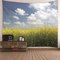 Wandbehang Chinesisch Wand Teppiche Bunt Blau Gelb Rapsfeld Mit Blauem Himmel Und Weißen Wolken Xxl Wandtuch Kinderzimmer Deko Wandschmuck Groß Schlafzimmer Wohnzimmer Wanddekoration 350X256Cm