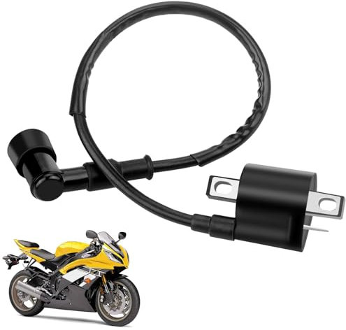 HANIUTTY Bobina de Encendido Modificada para Mejorar La Potencia, Bobina de Encendido para Motocicleta, Bobina de Encendido para Scooter para 150CC 200CC 250CC ATV Scooter Ciclomotor Go-kart