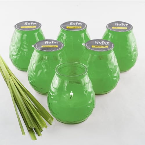 HOFER 6 x Bistro-Licht Citronella salbei | Windlicht Outdoor | Hochwertige Kerze im Glas mit Citronella-Duft | Outdoor Kerzen für Gartenparty | Deko für draußen