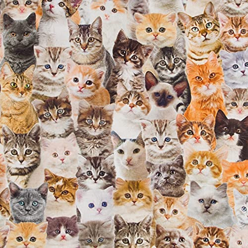 Hans-Textil-Shop Stoff Meterware Süße Katzen - 1 Meter, Schadstoffgeprüft, Deko, Katzenstoff, Kissen, Vorhang, Tischdecken, Taschen