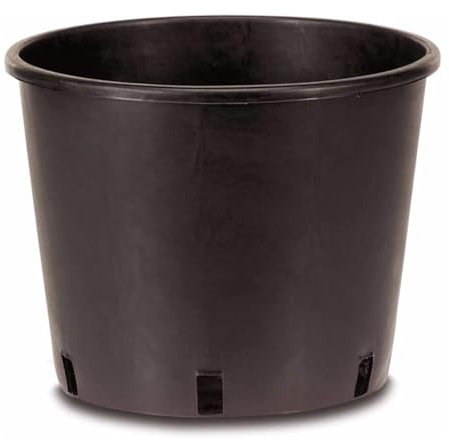 N.G. NICCOLAI - NICCO Shop - X10PZ VASI Professionali VIVAIO Alti - Made in Italy - Varie Misure - Colore Nero in PLASTICA Riciclata (16X16-3 Litri)