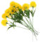 GREENADSCAPE Künstlicher Löwenzahn Blumenstrauß Kunststoff Dekoration Für Hochzeiten Elegante Kunstblumen Naturgetreue Pflanze Schöner Blumenschmuck Home Decor Ornament