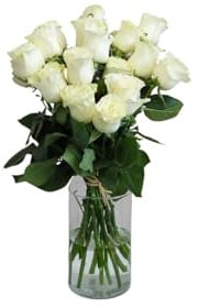 FLORES SOLIDARIAS - Ramos de Flores Naturales Rosas Blancas - Ramo Fresco de Calidad para Regalo, San Valentín, Día de la Madre, Bodas, Aniversarios, Cumpleaños y Decoración del Hogar