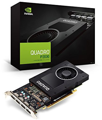 Getue Elsa NVIDIA Quadro P2000 グラフィックスボード VD6269 EQP2000-5GER