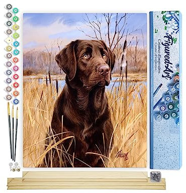 Figured'Art Peinture par Numéro Adulte Chien Labrador - Activité Manuelle Kit de Loisir Créatif DIY Numéro d'Art Complet - 40x50cm avec châssis en bois à monter