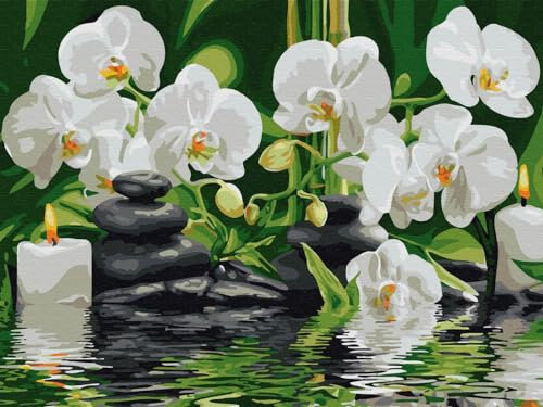 Artnapi Diamond Painting Set 5D DIY | Diamant Painting Bilder | Orchideen im Wasser 30x40 | Diamanten Gemälde Malen nach Zahlen | Diamant Mosaik für Haus Decor