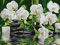 Artnapi Diamond Painting Set 5D DIY | Diamant Painting Bilder | Orchideen im Wasser 30x40 | Diamanten Gemälde Malen nach Zahlen | Diamant Mosaik für Haus Decor