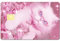 CREATCABIN 4 Autocollant Carte Crédit Carte Débit Billets Banque Chat Personnalisation Décoration Carte Crédit Mince Étanche Carte Bancaire Autocollant Blocage RFID pour Porte Cartes Crédit 5.4x8.6cm