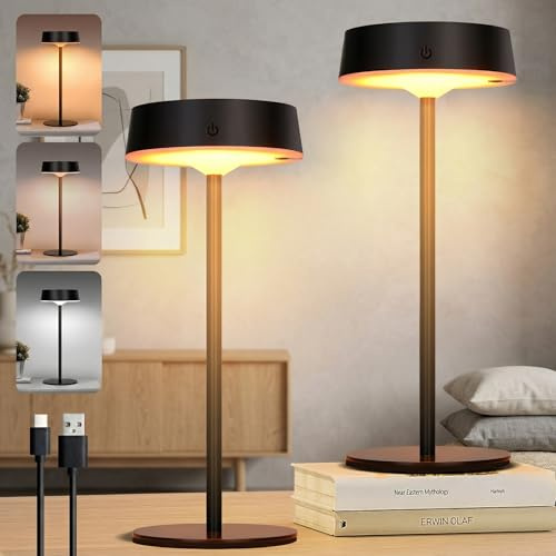 Rosnek LED Tischlampe Kabellos, Solar Outdoor Tischlampe für Touch Schalter, Schwarz USB Akku Tischleuchte, 3 Farbtemperaturen Stufenlos Tischleuchte Dimmbar für Innen & Aussen (2er Pack)