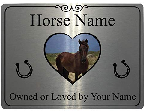 xtra-print 017 Custom Personalised Horse Name Photo Metal Aluminium Plaque Sign For Stable Door (20x15cm, Brushed Silver)
