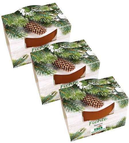 Bull & Bear 3er Set Mini Pflanzset Fichte, Fichtensamen im Topf 4,5cm, Baum Anzuchtset mit Pflegeanleitung