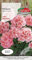 Verdica Semillas de pelargonium zonale de geranio rosa salmón, flores encantadoras anuales, perfectas para camas y balcones, 25-30 cm de altura, prosperan a pleno sol, empaquetadas de forma sostenible