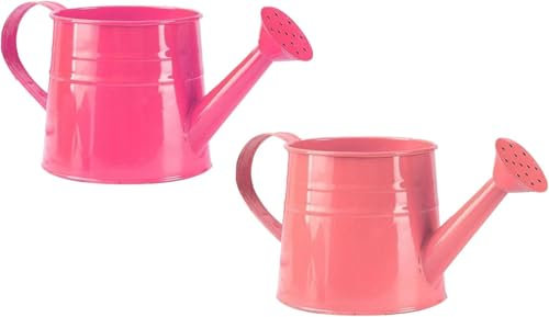 Gießkanne Klein Zimmerpflanzen 1L Kleine Gießkanne Metall Blumentopf Giesskanne Garten Balkon Watering Can Kieskanne Vintage Blumengießkanne Pflanzengießkanne Gartenwerkzeug (2PC/Hot Pink#+Rosa)