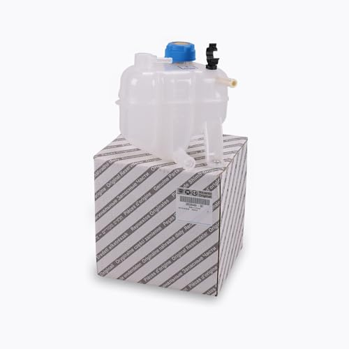 Original Expansion Tank 500 0.9 Panda 2016 2015 0.9 OE 52054456