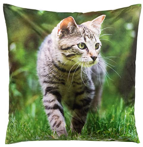 Brandsseller Dekokissen Zierkissen mit Tiermotiv - 40 x 40 cm - Katze